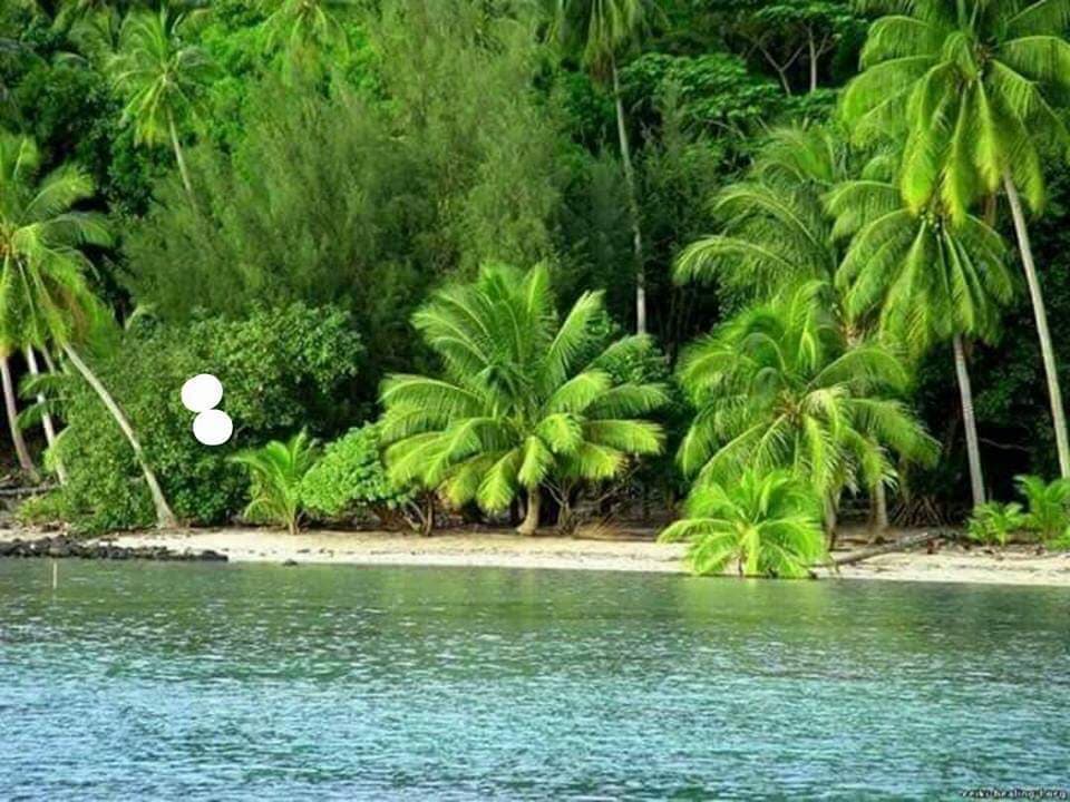 Ilha de Bubaque